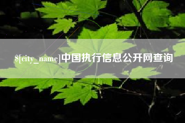 亳州中国执行信息公开网查询