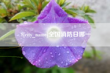 亳州全国消防日哪一