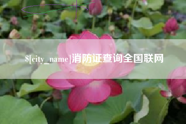 亳州消防证查询全国联网