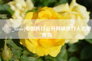 亳州中国执行公开网被执行人名单查询