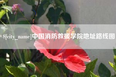 亳州中国消防救援学院地址路线图