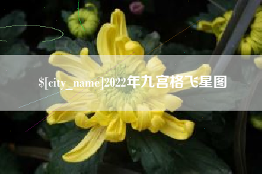 亳州2022年九宫格飞星图