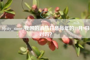 亳州我国的消防日是每年的11月9日对吗？