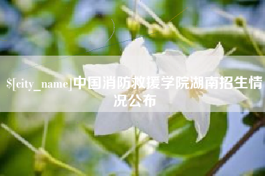 亳州中国消防救援学院湖南招生情况公布