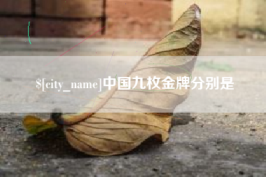 亳州中国九枚金牌分别是