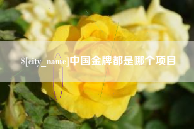 亳州中国金牌都是哪个项目