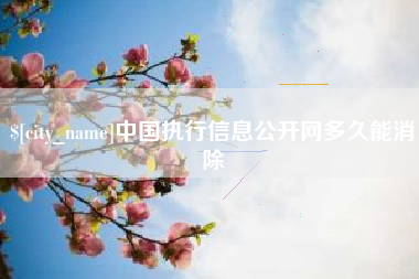 亳州中国执行信息公开网多久能消除
