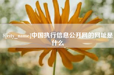 亳州中国执行信息公开网的网址是什么