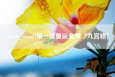 亳州第一波奥运金牌“九宫格”