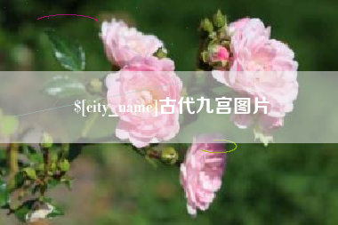 亳州古代九宫图片