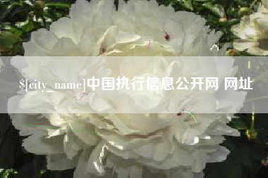 亳州中国执行信息公开网 网址