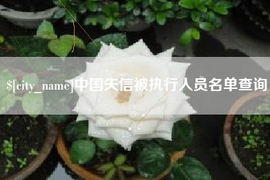 亳州中国失信被执行人员名单查询