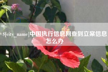 亳州中国执行信息网查到立案信息怎么办
