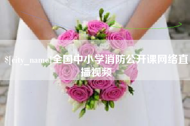 亳州全国中小学消防公开课网络直播视频