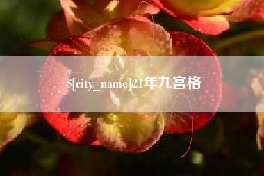 亳州21年九宫格