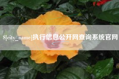 亳州执行信息公开网查询系统官网