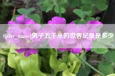 亳州男子五千米的世界纪录是多少
