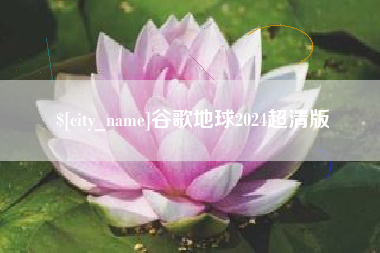 亳州谷歌地球2024超清版