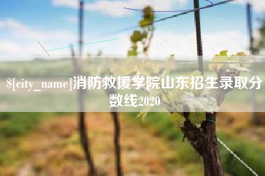亳州消防救援学院山东招生录取分数线2020