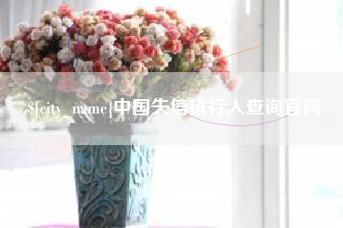 亳州中国失信执行人查询官网