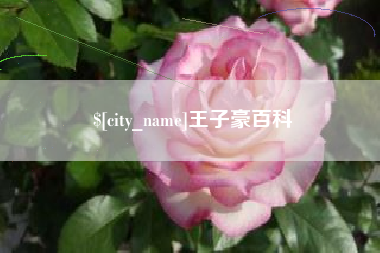 亳州王子豪百科