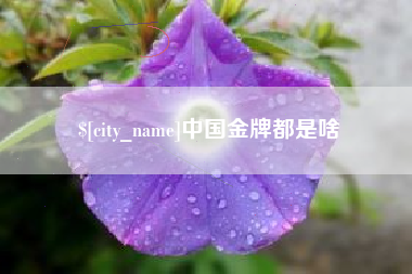 亳州中国金牌都是啥