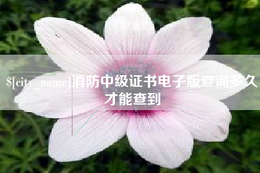 亳州消防中级证书电子版查询多久才能查到