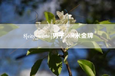 亳州男子5000米金牌
