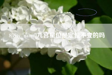 亳州九宫星位是定位不变的吗