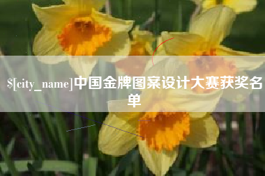 亳州中国金牌图案设计大赛获奖名单