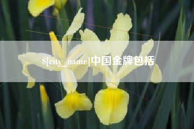 亳州中国金牌包括