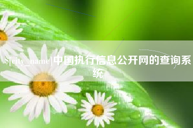 亳州中国执行信息公开网的查询系统
