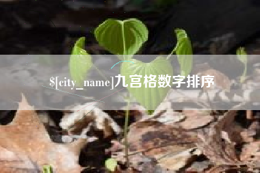 亳州九宫格数字排序