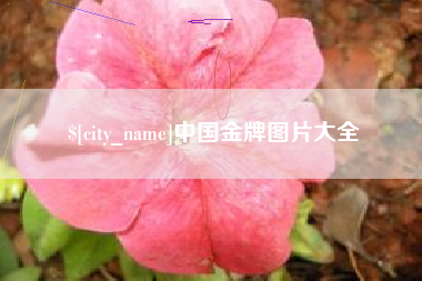 亳州中国金牌图片大全