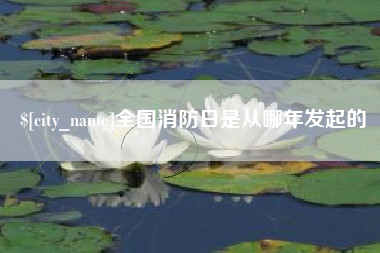 亳州全国消防日是从哪年发起的