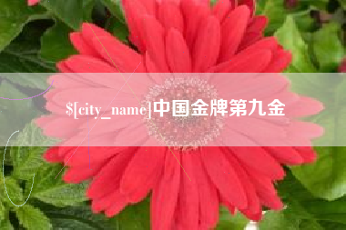 亳州中国金牌第九金