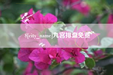 亳州九宫排盘免费