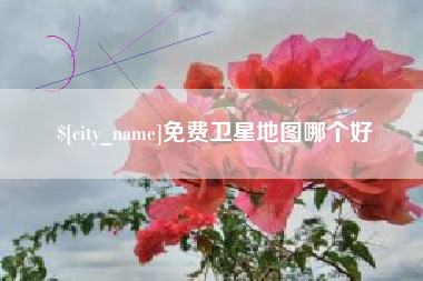 亳州免费卫星地图哪个好