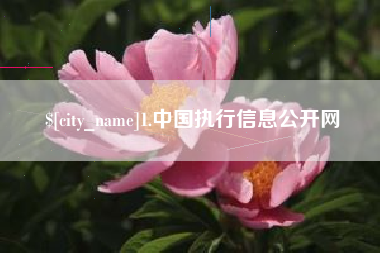 亳州1.中国执行信息公开网