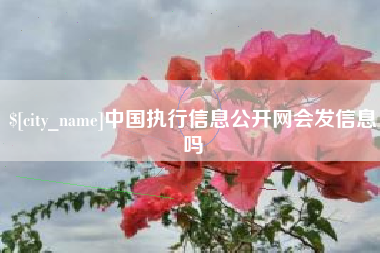 亳州中国执行信息公开网会发信息吗