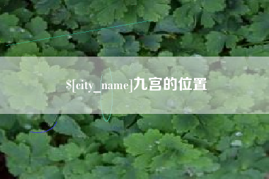 亳州九宫的位置