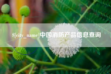 亳州中国消防产品信息查询