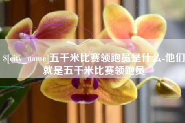 亳州五千米比赛领跑员是什么-他们就是五千米比赛领跑员