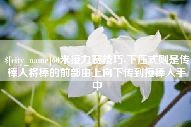 亳州60米接力赛技巧-下压式则是传棒人将棒的前部由上向下传到接棒人手中