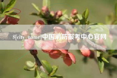 亳州中国消防报考中心官网