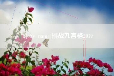 亳州挑战九宫格2019