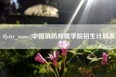 亳州中国消防救援学院招生计划表