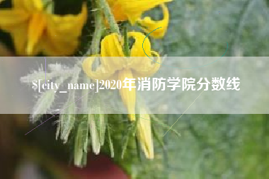 亳州2020年消防学院分数线