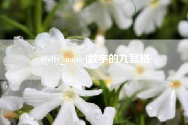 亳州数字的九宫格
