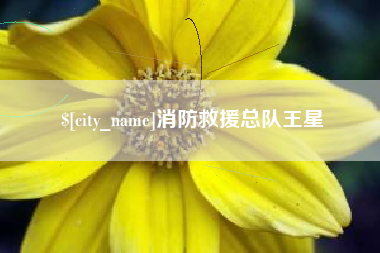 亳州消防救援总队王星